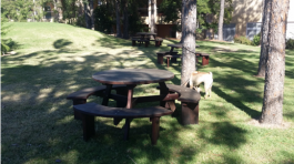 Round Kwila Outdoor Timber Picnic Setting BU available to order now!